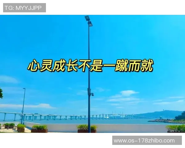 何思雨的成长之路与梦想追寻：从平凡到卓越的心灵旅程